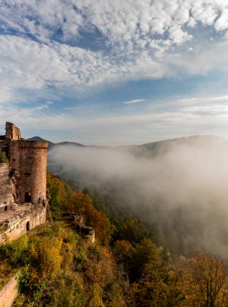 Entdecken Sie das Dahner Felsenland und das nahe Elsass Symbolfoto