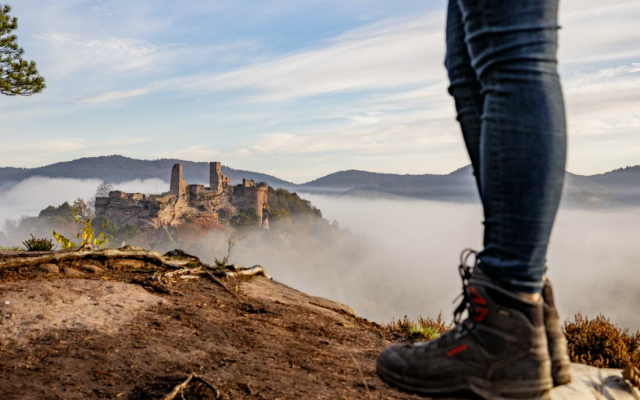 Aussicht auf Burgruine im Nebel