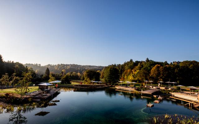 Blick über den Schwimmteich des Pfalzblick Wald Spa Resort auf den Pfälzer Wald