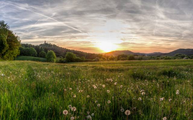 Pfälzer Wiesenlandschaft 