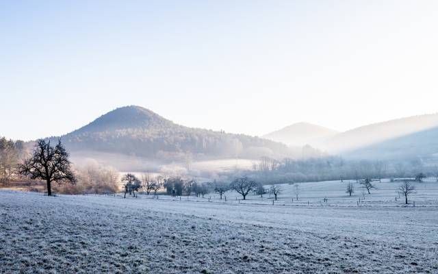 Dahner Landschaft im Winter