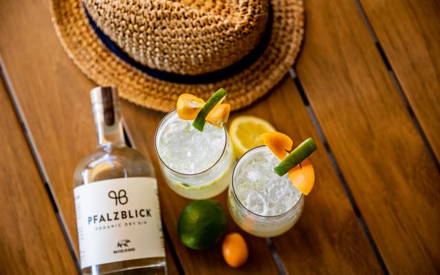 Pfalzblick Gin 