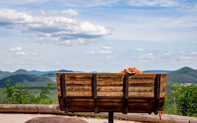 Tolle Ausflugsziele - PFALZBLICK WALD SPA RESORT