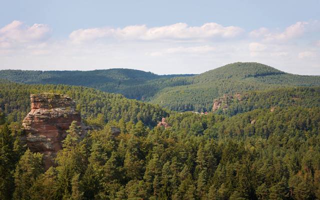 Dahner Felsenland im Pfälzerwald