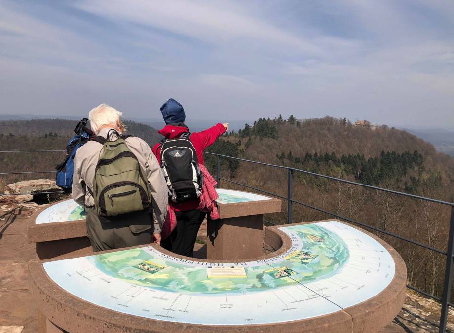 Pfalzblick-Wanderwochen mit Barbara ... Symbolfoto