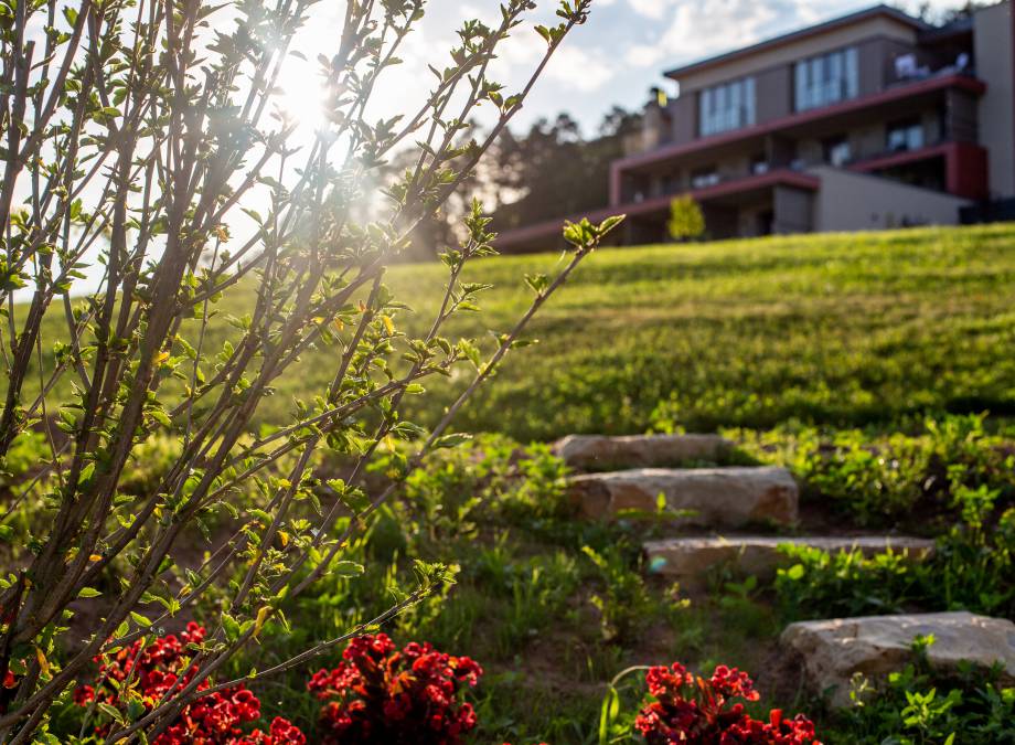 Sommerzeit in der Pfalz! Symbolfoto