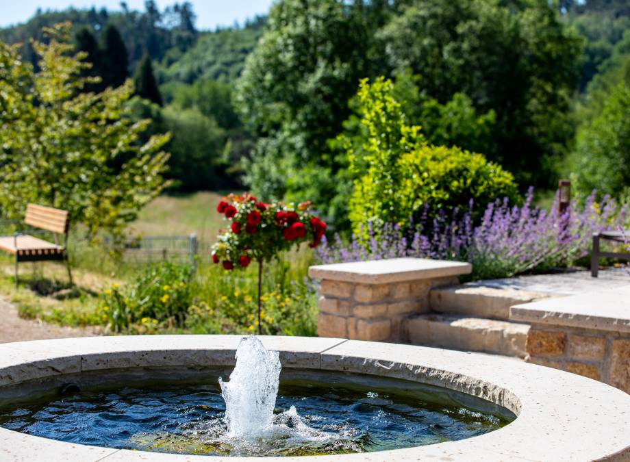 Die Wasserwelten im Pfalzblick Wald Spa Resort! Symbolfoto