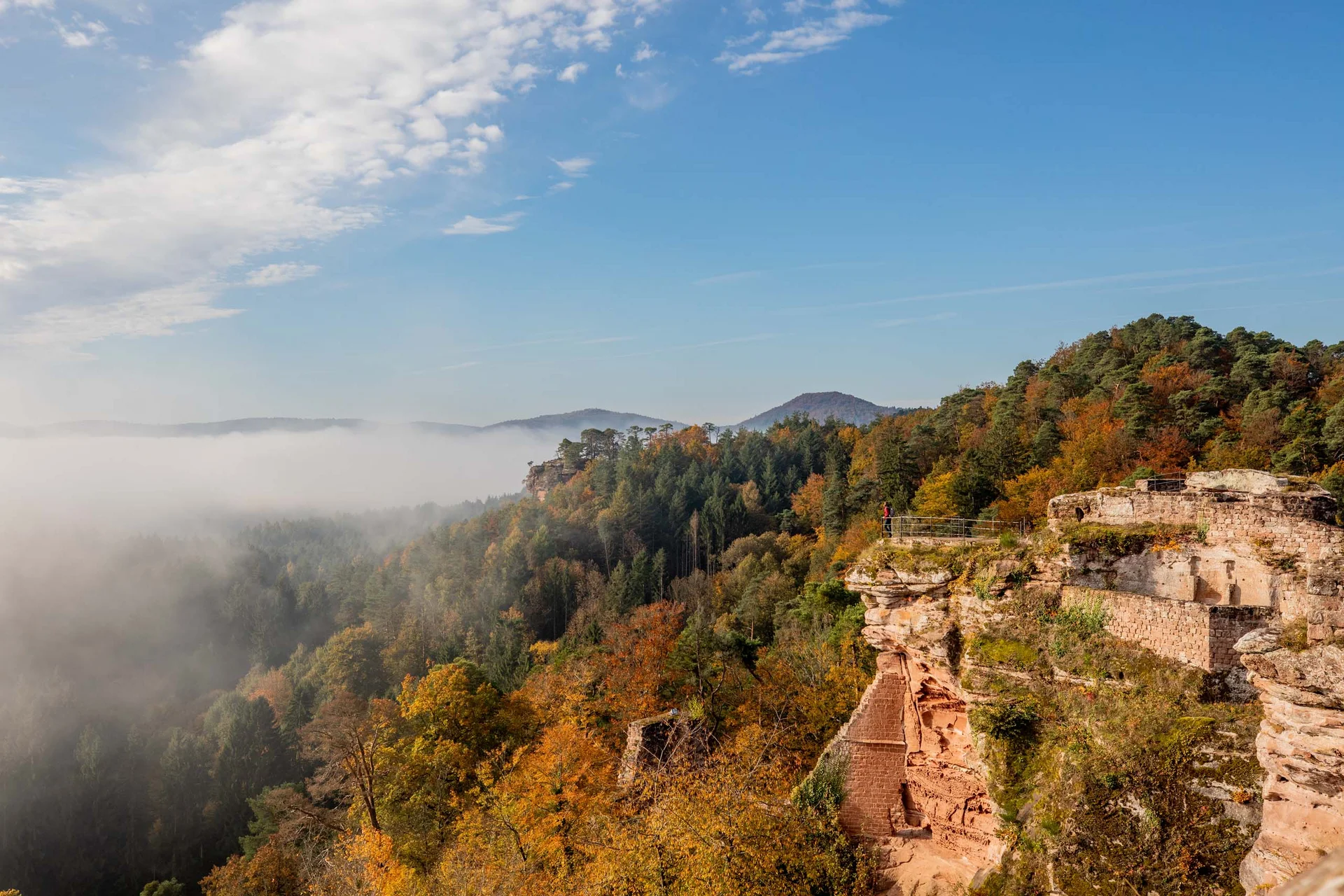 Wellnesshotel für Urlaub mit Hund in der Pfalz Felsenburg in herbstlichem Wald mit Nebel und blauem Himmel