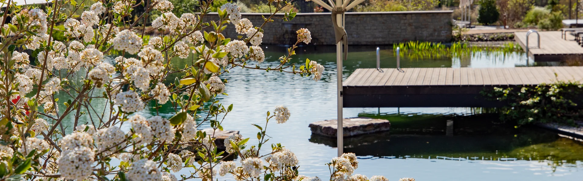 Wellnessurlaub in der Pfalz neu erleben Wellnessurlaub in der Pfalz neu erleben