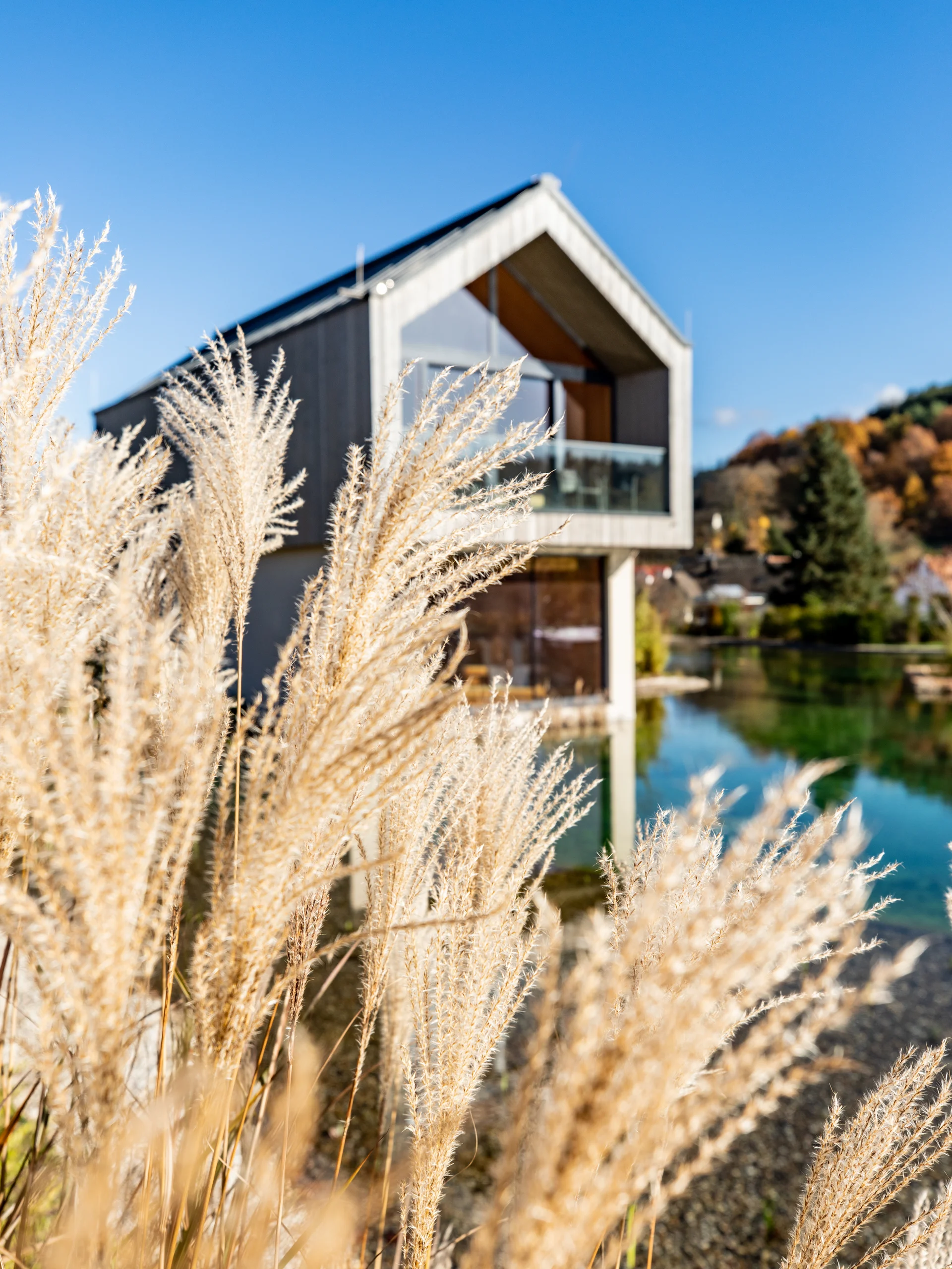 Wellnesshotel in der Pfalz: Wald Spa Resort Modernes Haus mit Glasbalkon neben ruhigem Teich und getrocknetem Pampasgras
