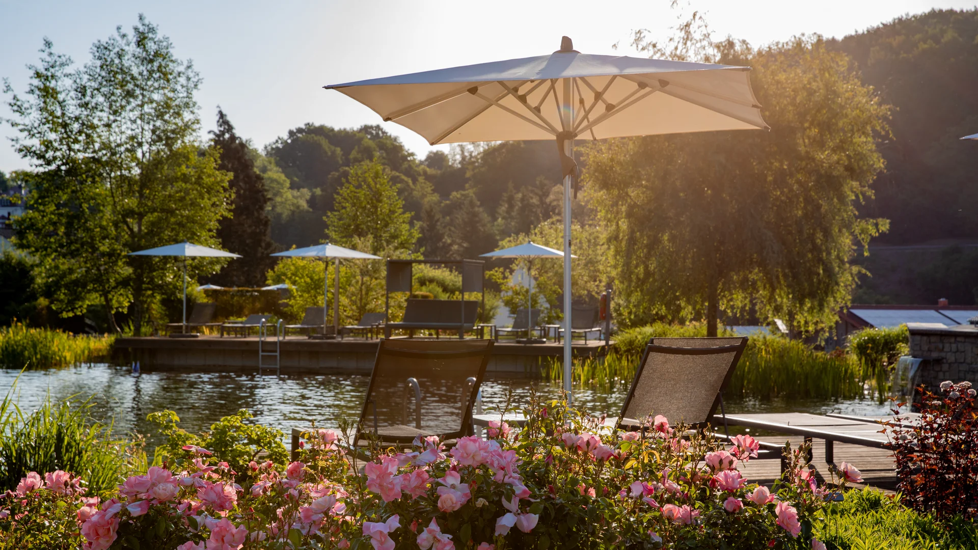 Pfalzblick Wald Spa Resort in Dahn Sun umbrella and chairs by a lake with blooming roses on the shore