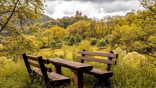 Impressionen aus dem Pfalzblick Wald Spa Resort