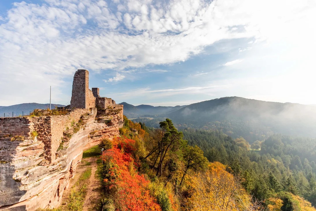 Ruine einer Burg auf Felsen mit Herbstwald und Nebel in den Bergen