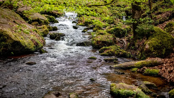 Impressionen aus dem Pfalzblick Wald Spa Resort
