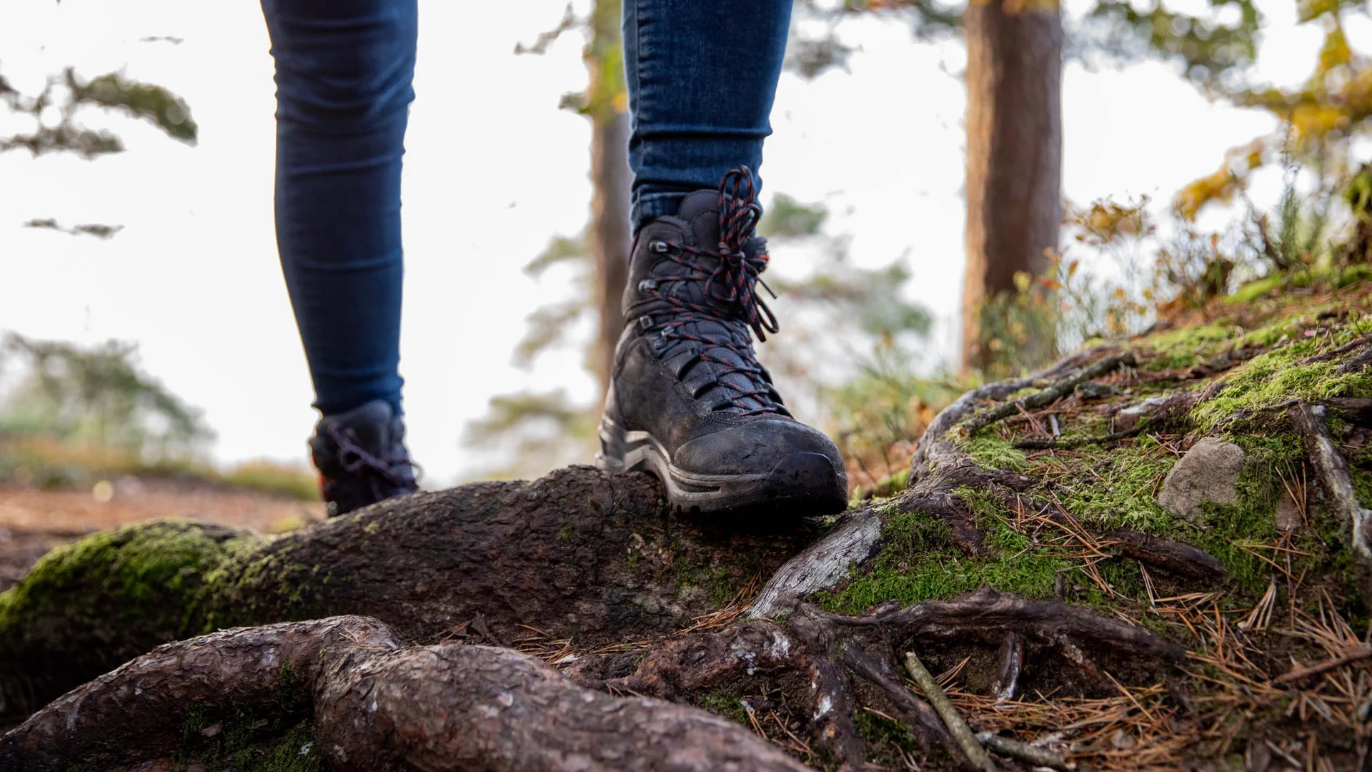 Wanderstiefel auf moosbewachsenen Wurzeln im Wald