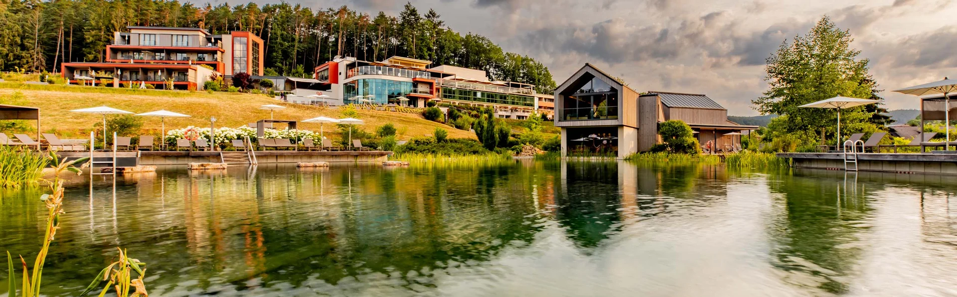 Der Naturbadeteich "Kleiner Wasgausee"!