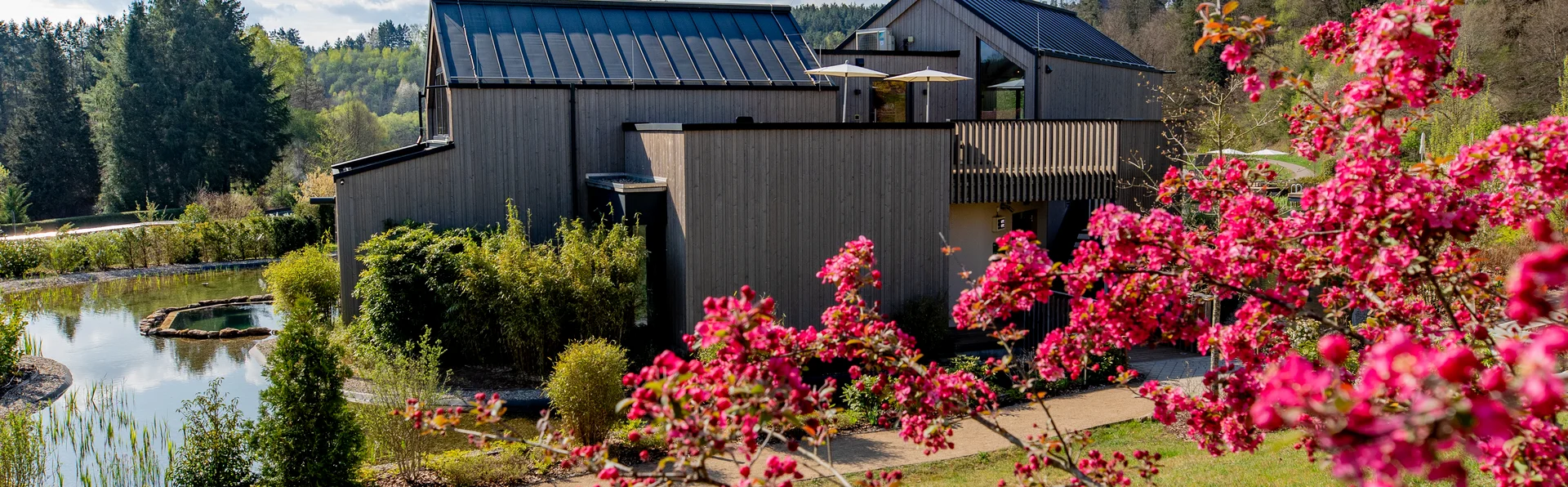 Maison moderne avec jardin et fleurs roses en fleurs sous un ciel clair