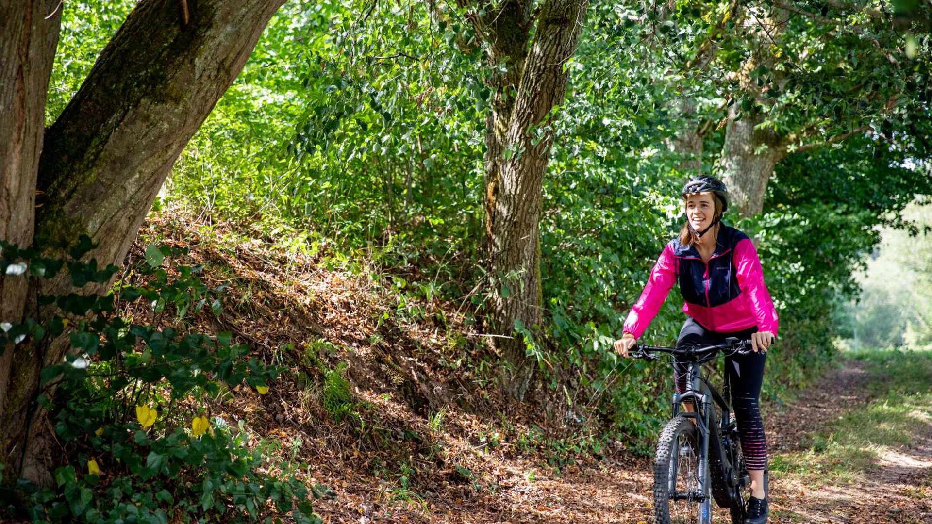 Radtour in der Pfalz mit Übernachtung