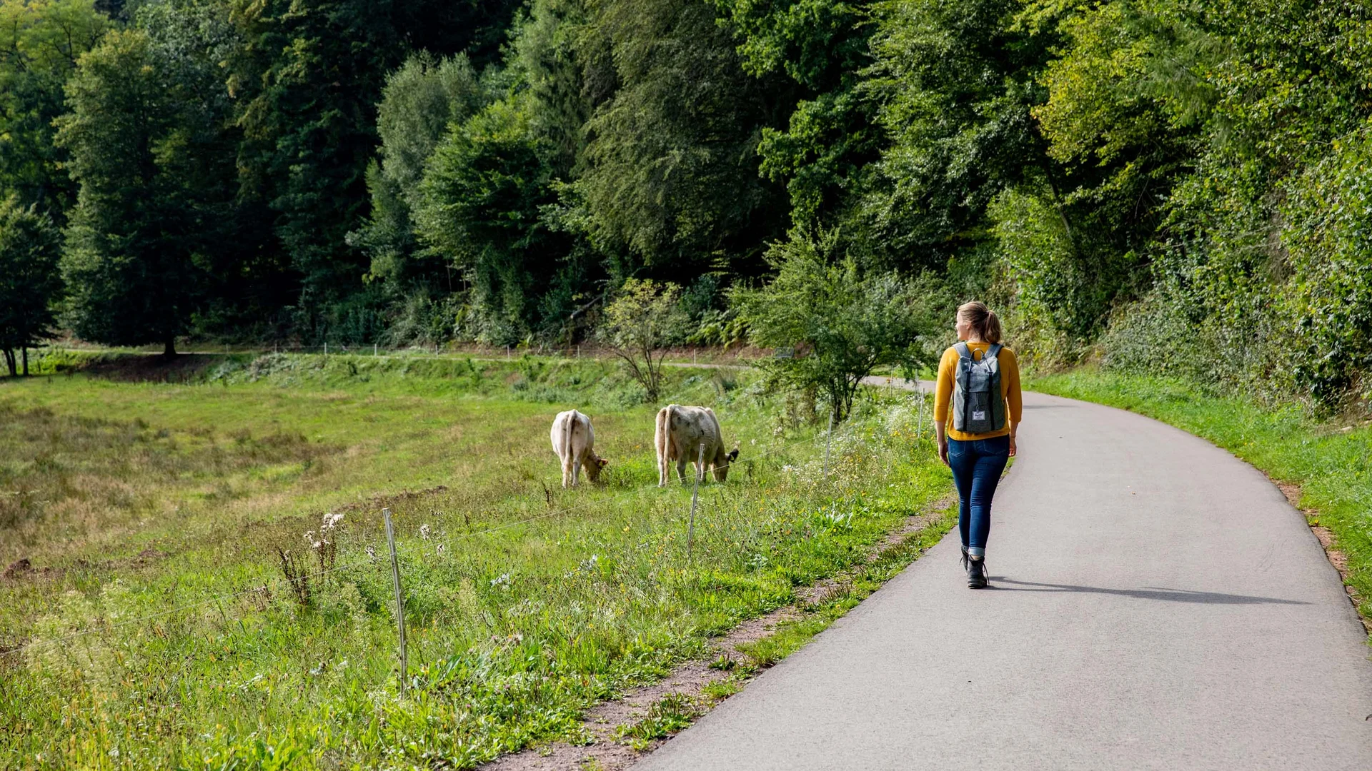 Wandern in der Pfalz mit Übernachtung