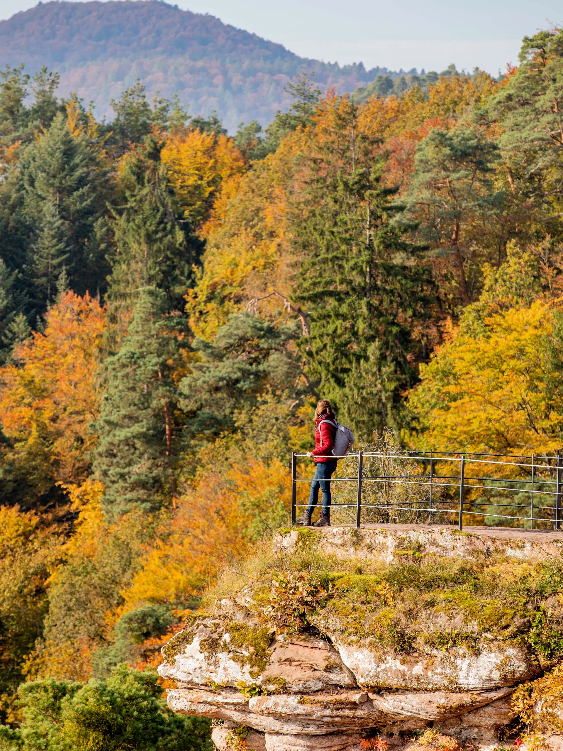 Pfalzblick Wald Spa Resort: Ihr Naturhotel in Rheinland-Pfalz