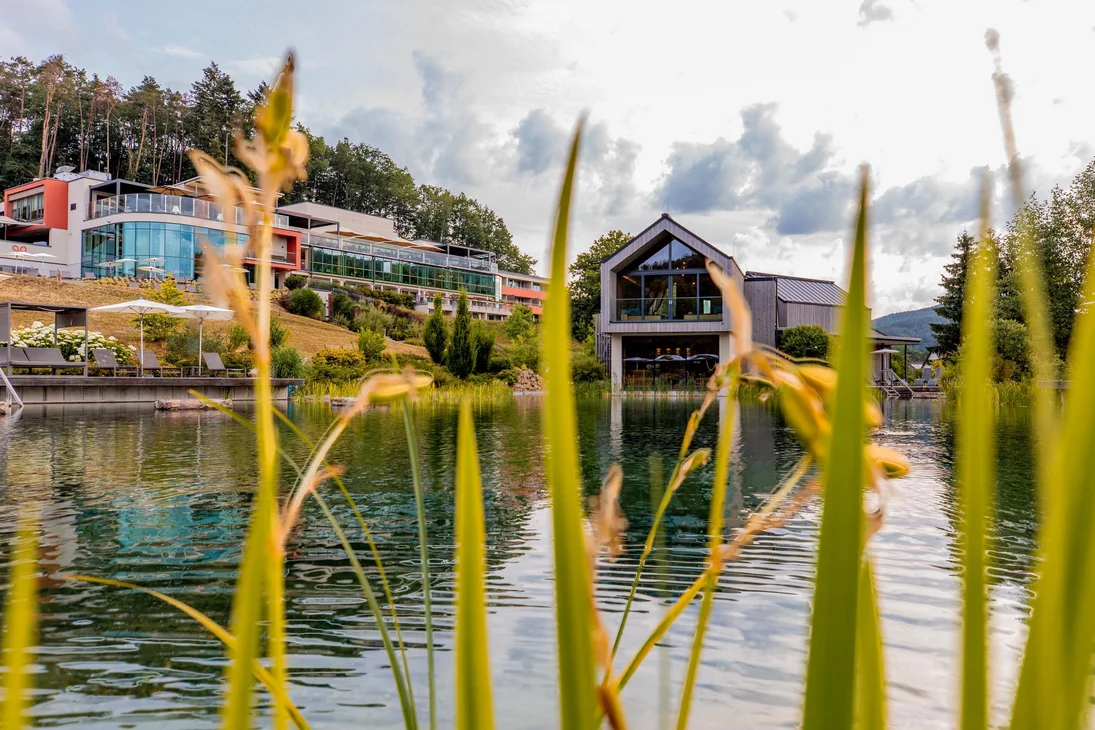 Der Naturbadeteich "Kleiner Wasgausee"!