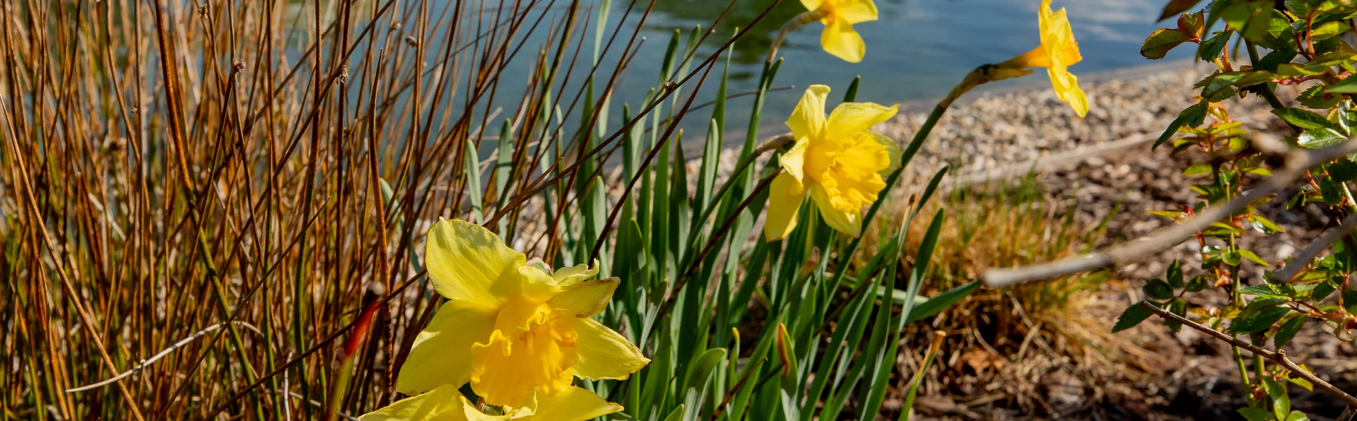 Wellnessurlaub in der Pfalz neu erleben Wellnessurlaub in der Pfalz neu erleben