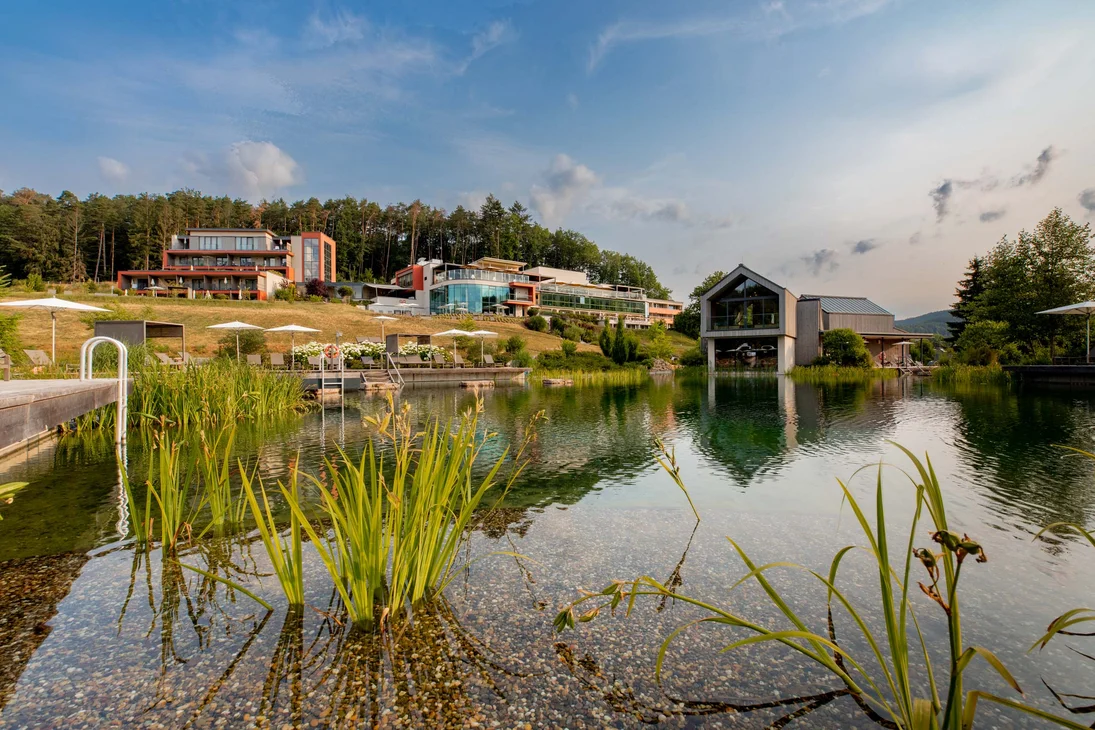 Der Naturbadeteich "Kleiner Wasgausee"!