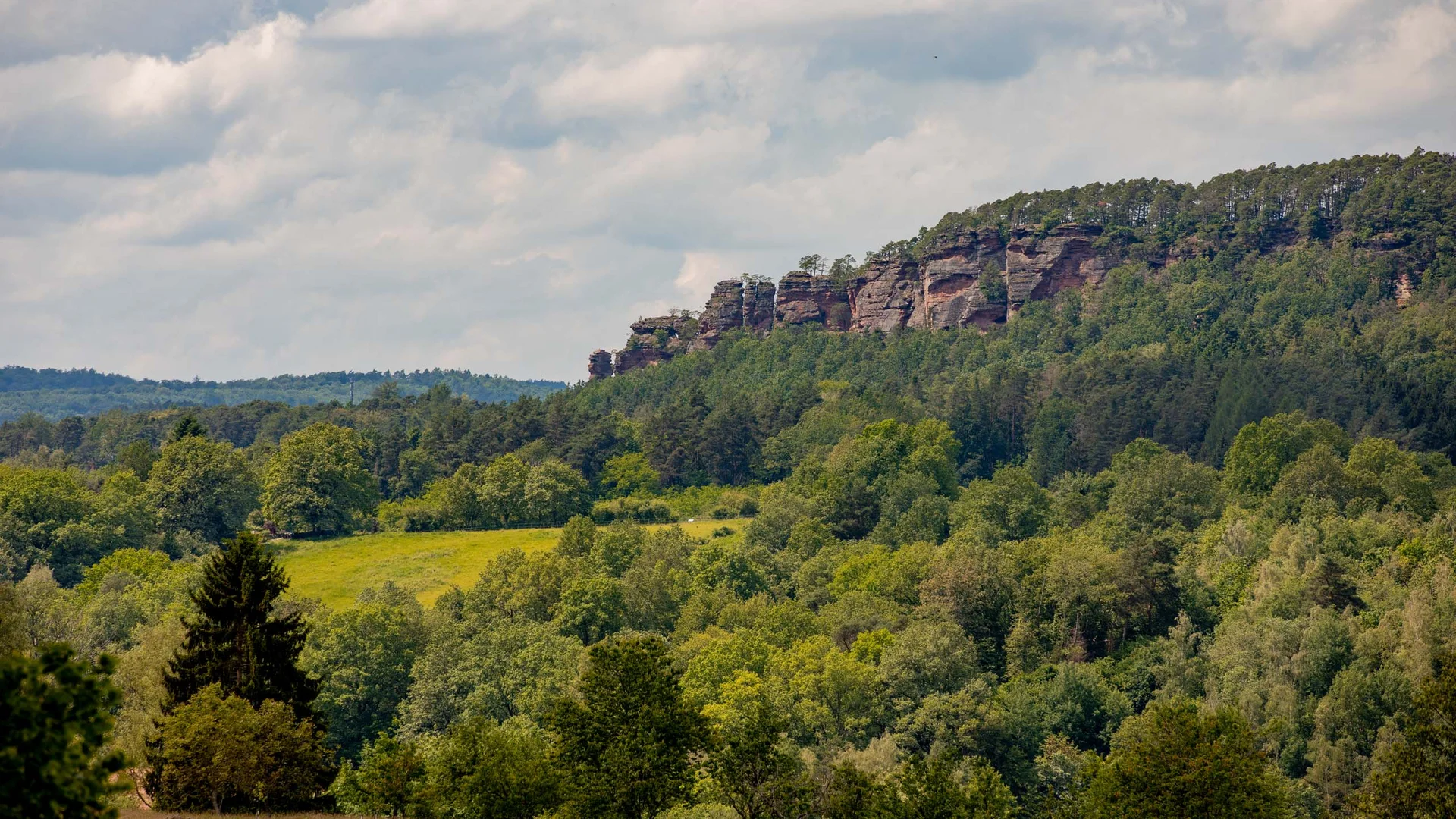 Grüne bewaldete Hügel mit Felsen unter bewölktem Himmel