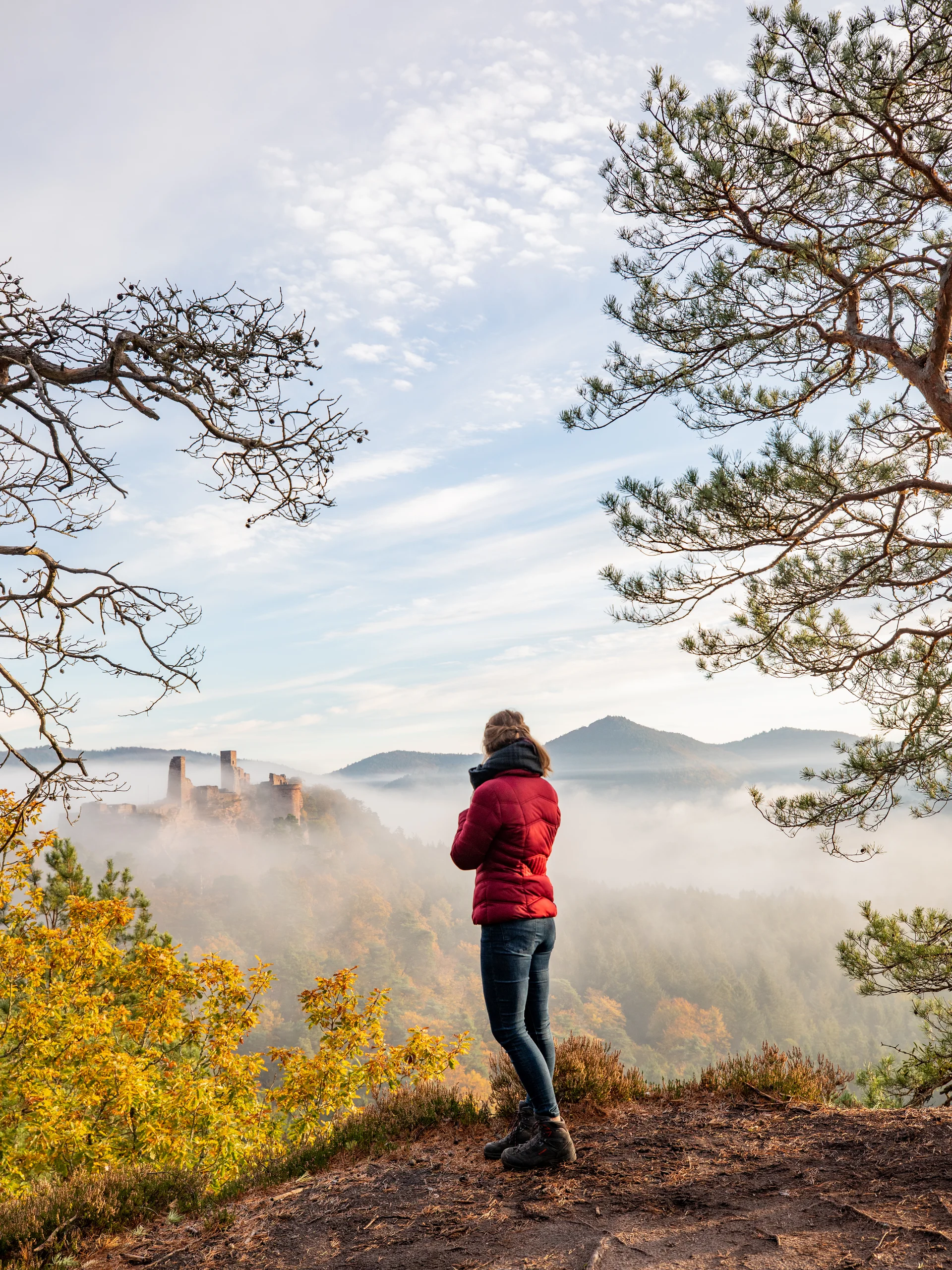 Pfalzblick Wald Spa Resort: Ihr Naturhotel in Rheinland-Pfalz Person blickt auf neblige Landschaft mit Schloss und Herbstbäumen
