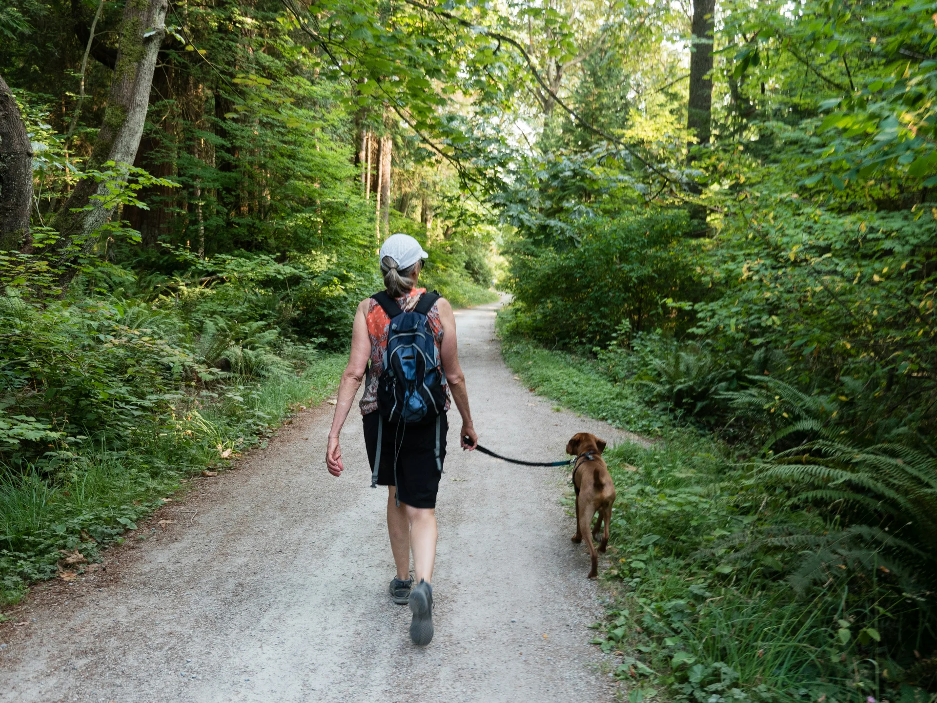 Wellnesshotel für Urlaub mit Hund in der Pfalz Frau mit Rucksack geht mit Hund an der Leine auf Waldweg