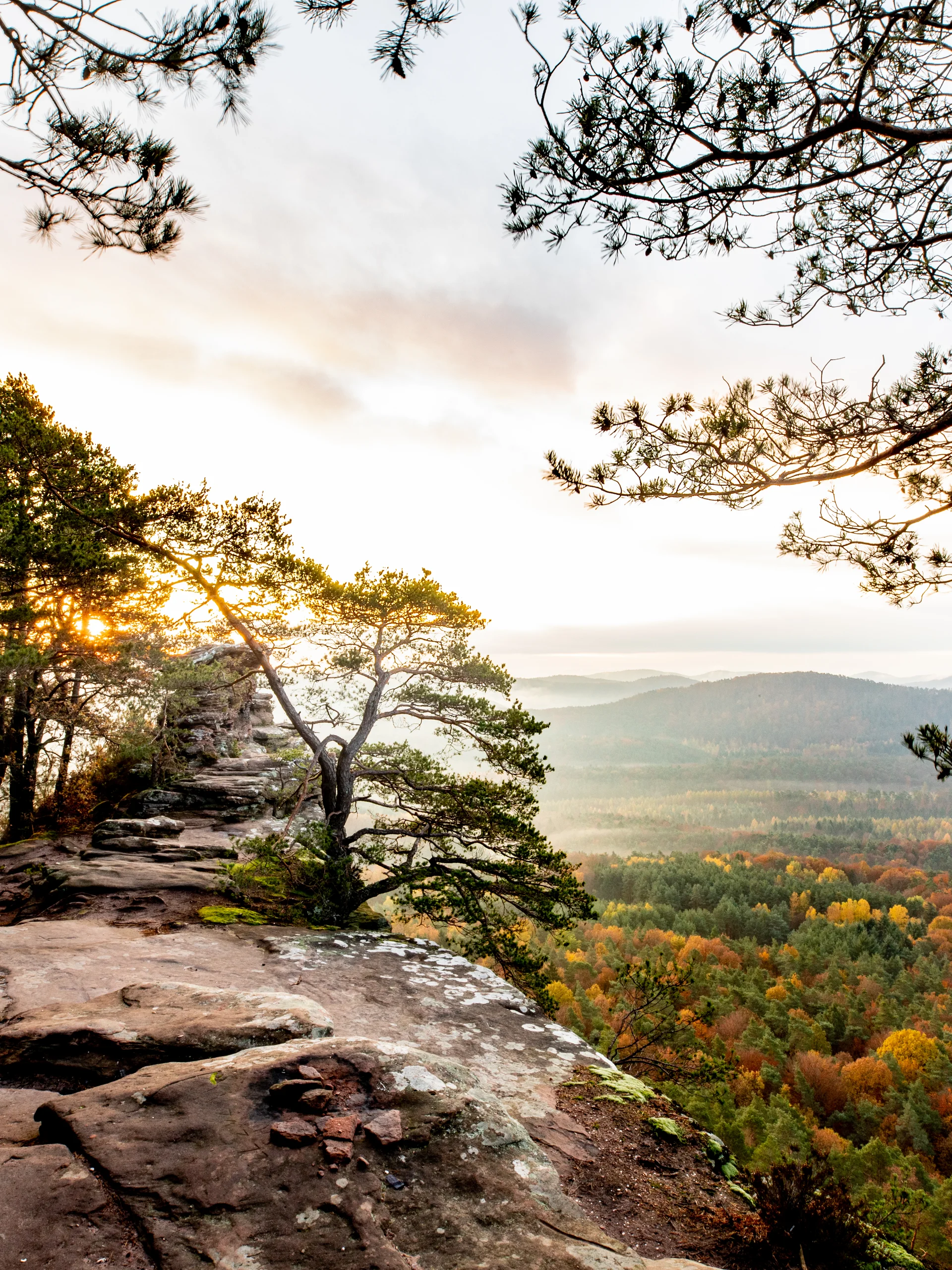 Pfalzblick Wald Spa Resort: Ihr Naturhotel in Rheinland-Pfalz Felsvorsprung im Wald im Sonnenuntergang mit bunter Herbstlandschaft