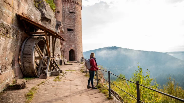 Frau blickt von Burgmauer auf nebligen Wald und Hügel