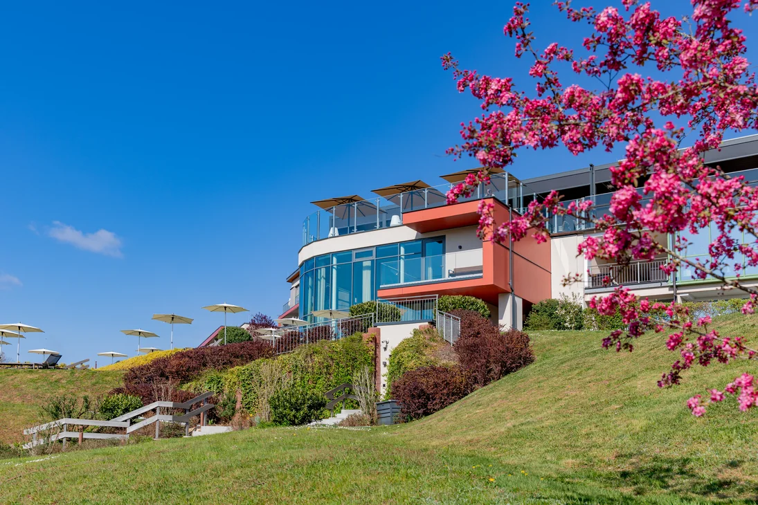 Modernes Gebäude auf leichtem Hügel mit Sonnenschirmen und blühendem Baum
