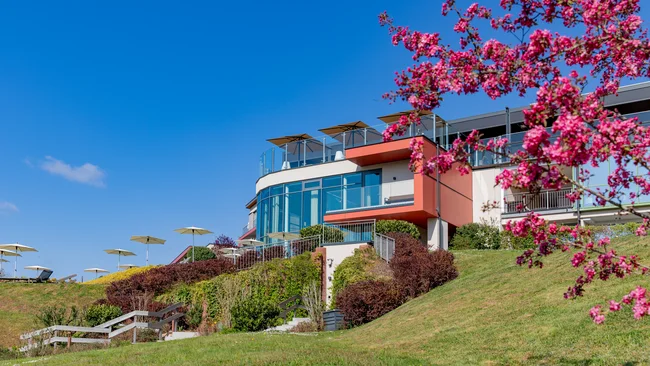 Modernes Gebäude auf leichtem Hügel mit Sonnenschirmen und blühendem Baum