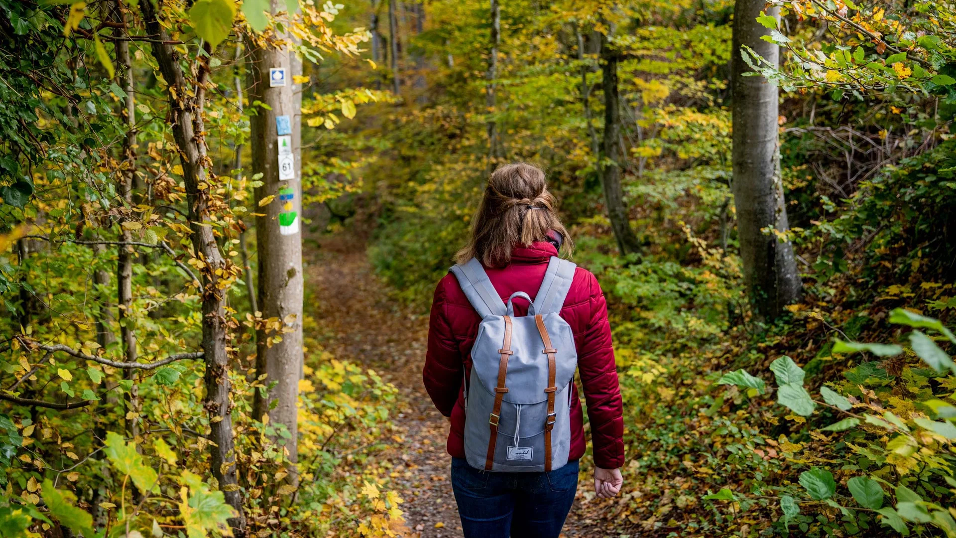 Frau mit Rucksack wandert auf Waldweg im Herbst
