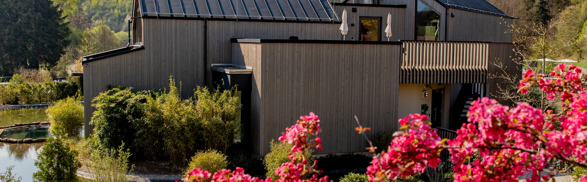 Wellnessurlaub in der Pfalz neu erleben Wellnessurlaub in der Pfalz neu erleben